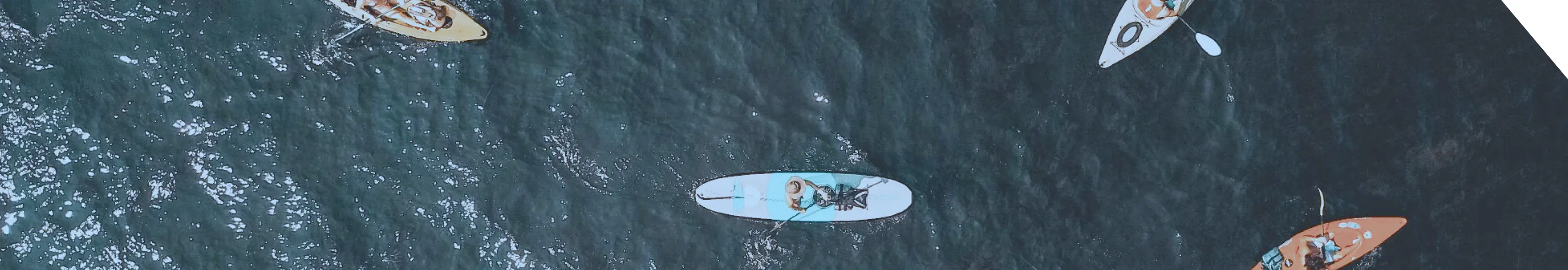 自ら船の漕ぎ手となる のイメージ画像