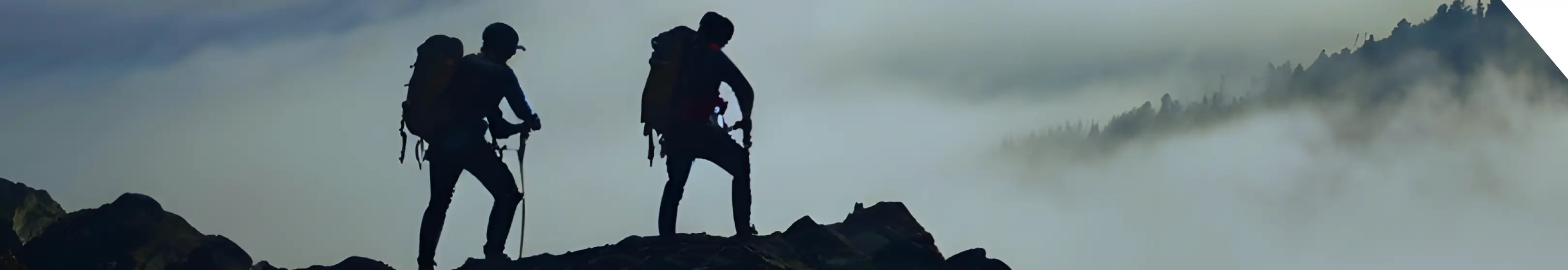 自己変容し続けるのイメージ画像